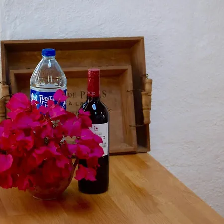 Nachhaltig Betriebenes In Einem Typisch Kanarischen Dorf Icod De Los Vinos